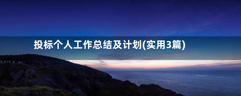 投标个人工作总结及计划(实用3篇)