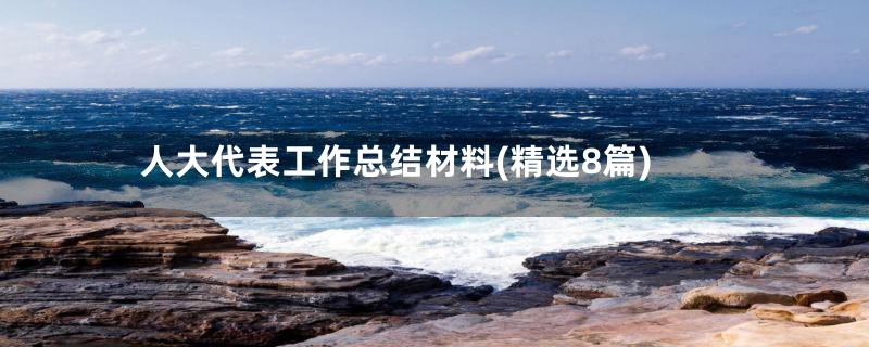 人大代表工作总结材料(精选8篇)
