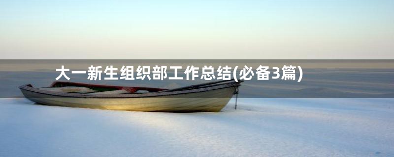 大一新生组织部工作总结(必备3篇)