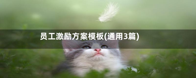 员工激励方案模板(通用3篇)