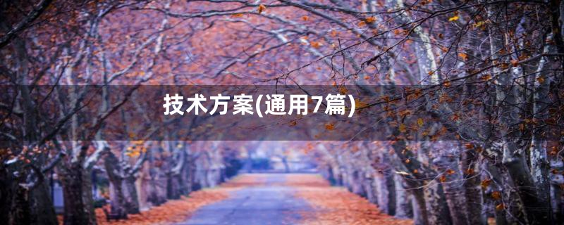 技术方案(通用7篇)