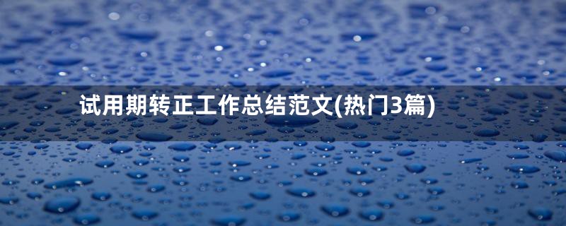 试用期转正工作总结范文(热门3篇)