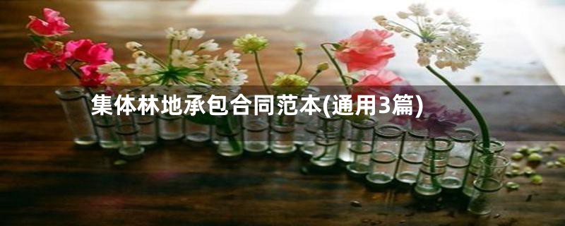 集体林地承包合同范本(通用3篇)