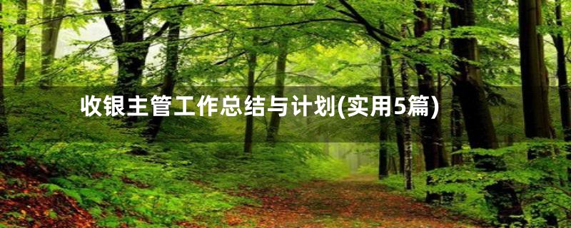 收银主管工作总结与计划(实用5篇)