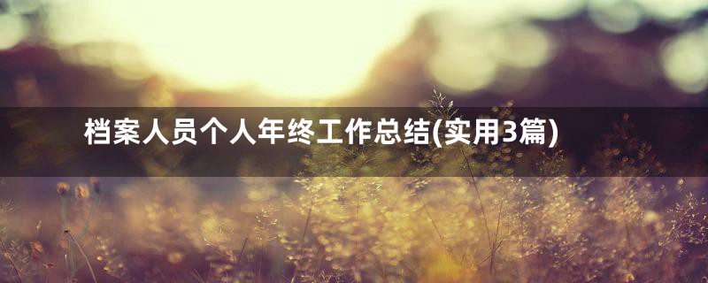 档案人员个人年终工作总结(实用3篇)