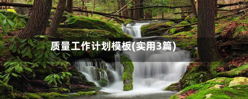 质量工作计划模板(实用3篇)