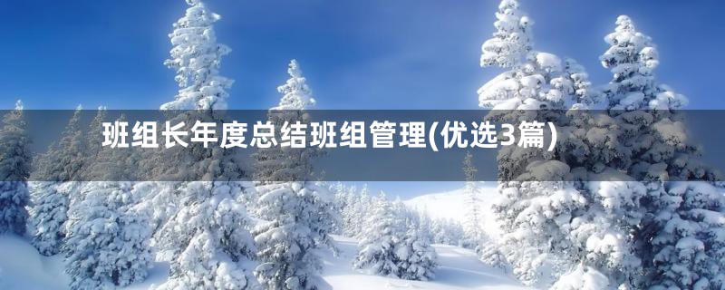 班组长年度总结班组管理(优选3篇)
