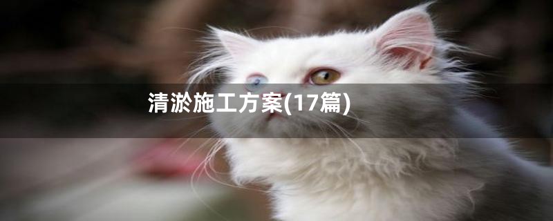清淤施工方案(17篇)
