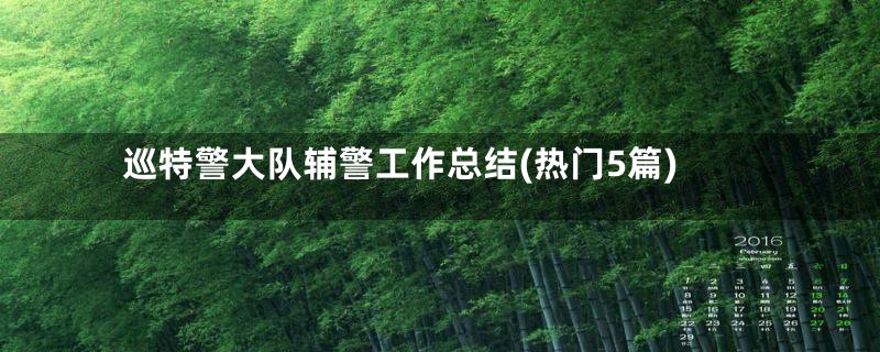 巡特警大队辅警工作总结(热门5篇)