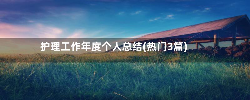 护理工作年度个人总结(热门3篇)