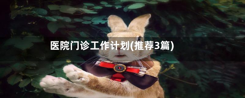医院门诊工作计划(推荐3篇)