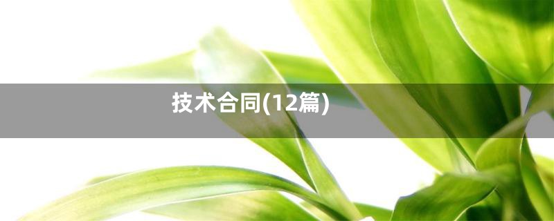 技术合同(12篇)