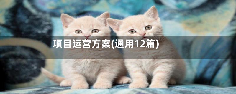 项目运营方案(通用12篇)