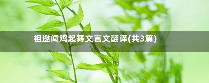 祖逖闻鸡起舞文言文翻译(共3篇)