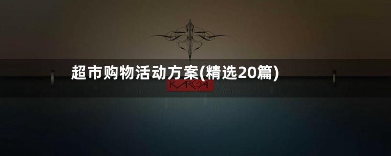 超市购物活动方案(精选20篇)