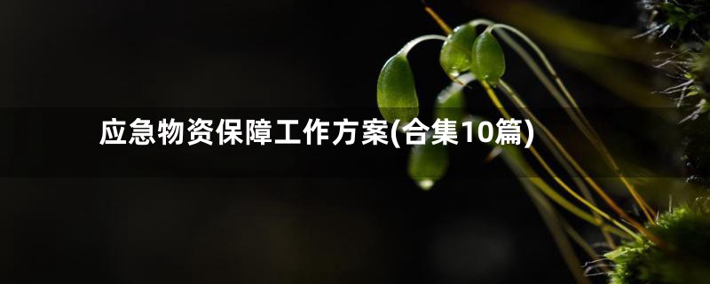 应急物资保障工作方案(合集10篇)