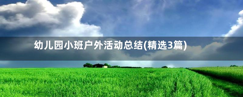 幼儿园小班户外活动总结(精选3篇)