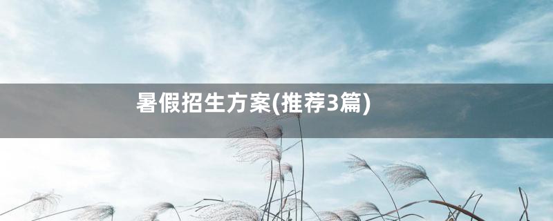 暑假招生方案(推荐3篇)