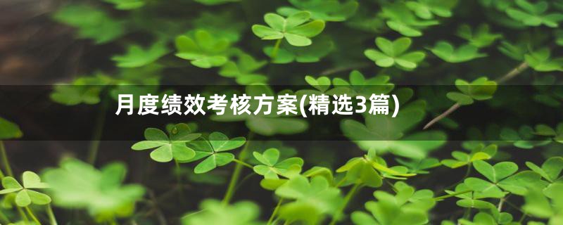 月度绩效考核方案(精选3篇)