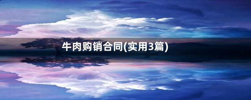 牛肉购销合同(实用3篇)