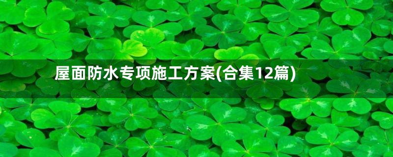 屋面防水专项施工方案(合集12篇)