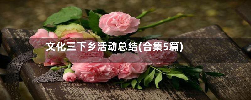 文化三下乡活动总结(合集5篇)