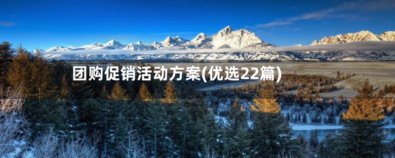 团购促销活动方案(优选22篇)