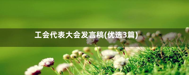 工会代表大会发言稿(优选3篇)
