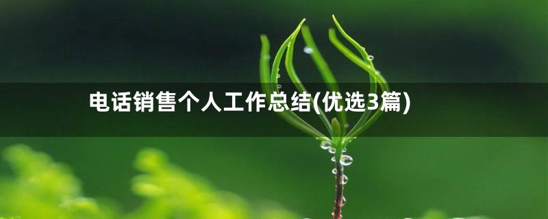 电话销售个人工作总结(优选3篇)