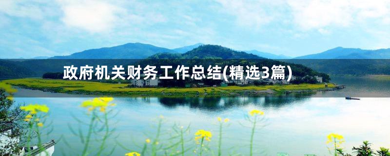 政府机关财务工作总结(精选3篇)