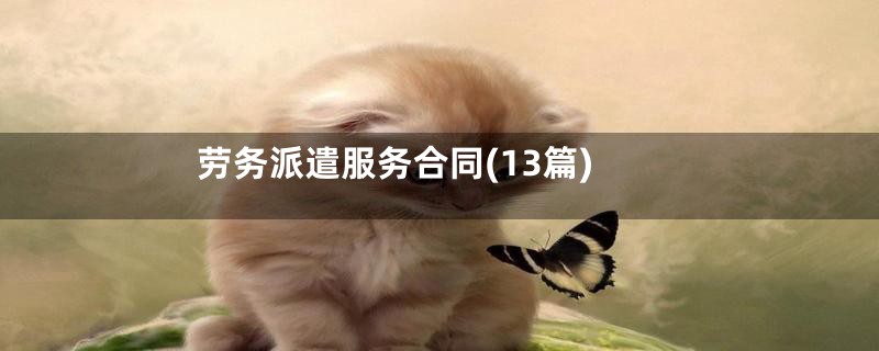 劳务派遣服务合同(13篇)
