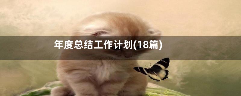 年度总结工作计划(18篇)