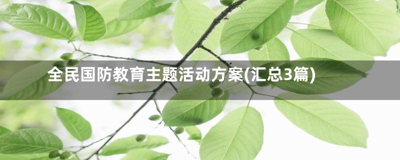 全民国防教育主题活动方案(汇总3篇)