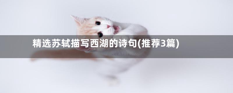 精选苏轼描写西湖的诗句(推荐3篇)