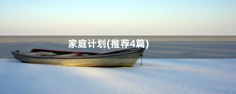 家庭计划(推荐4篇)
