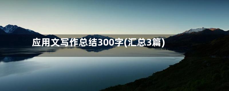 应用文写作总结300字(汇总3篇)