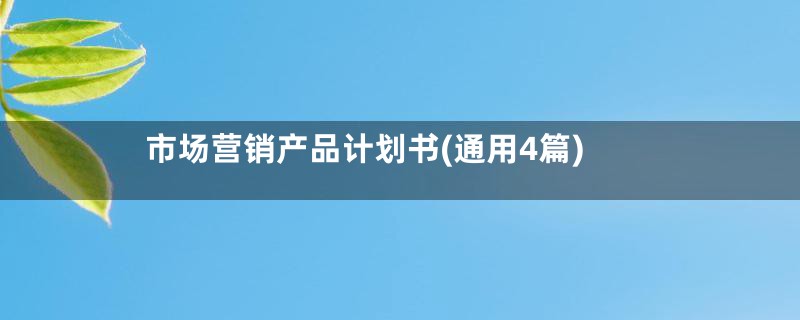 市场营销产品计划书(通用4篇)