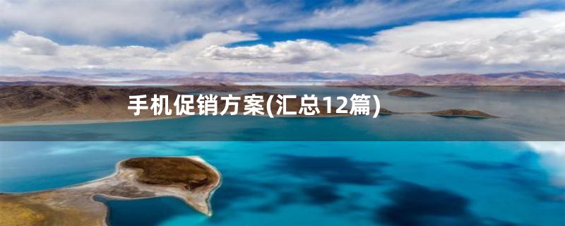 手机促销方案(汇总12篇)