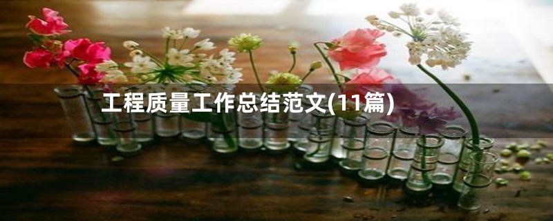 工程质量工作总结范文(11篇)