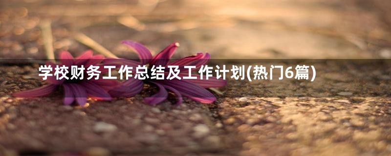 学校财务工作总结及工作计划(热门6篇)