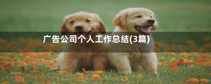 广告公司个人工作总结(3篇)