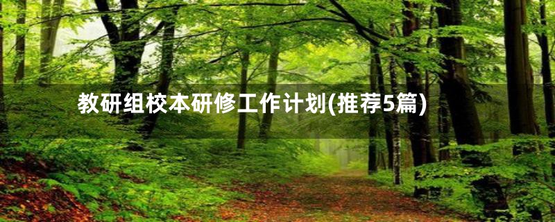 教研组校本研修工作计划(推荐5篇)