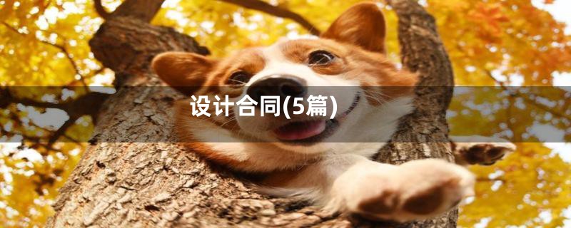 设计合同(5篇)