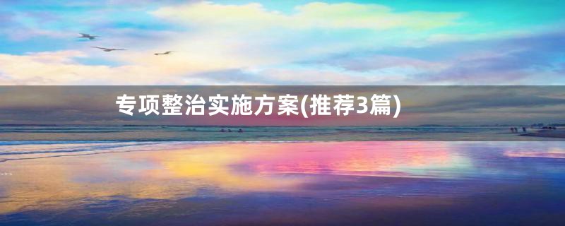 专项整治实施方案(推荐3篇)