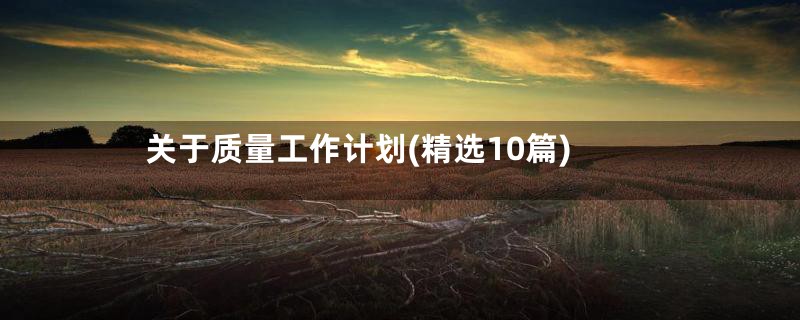关于质量工作计划(精选10篇)