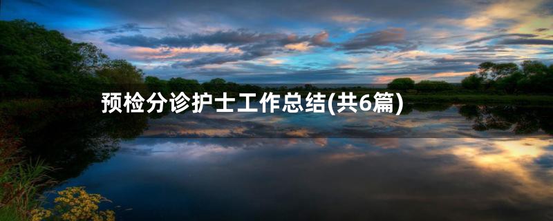 预检分诊护士工作总结(共6篇)