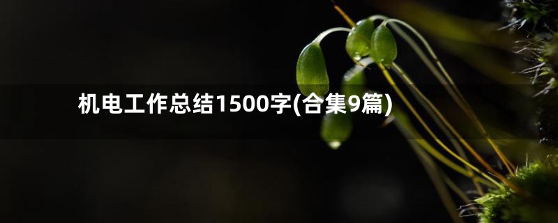 机电工作总结1500字(合集9篇)