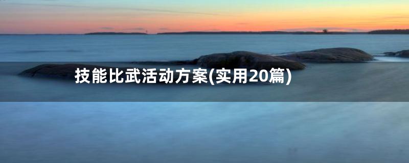 技能比武活动方案(实用20篇)