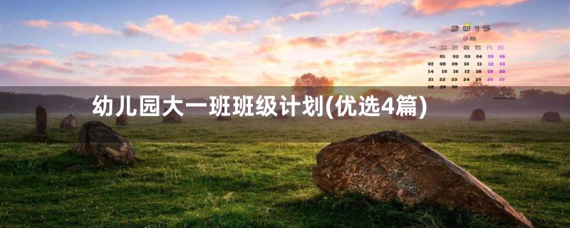 幼儿园大一班班级计划(优选4篇)