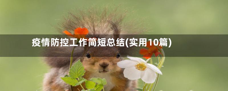 疫情防控工作简短总结(实用10篇)